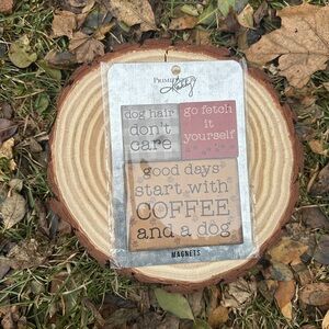 Primitives by Kathy Silver Magnet Set